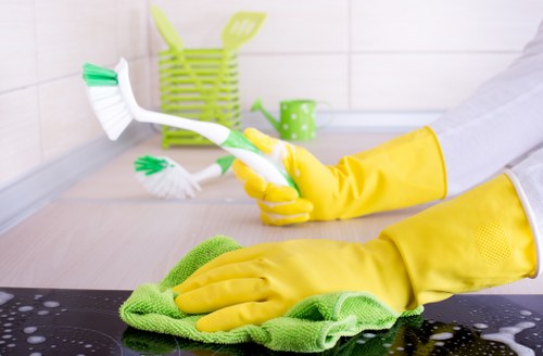 Stain and odour removal during steam carpet cleaning in Eastcote