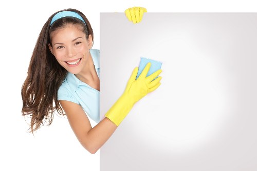Pet-safe odour removal and stain cleaning in Eastcote